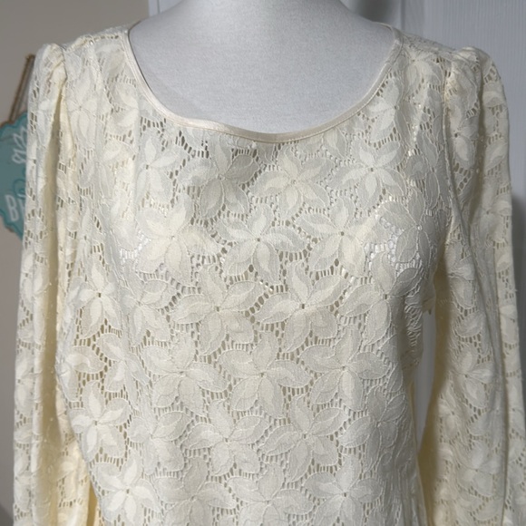 Laundry by Shelli Sagal Ivory Lace, lined dress - Picture 4 of 7